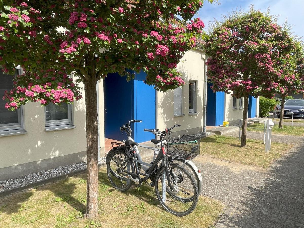 Ferienwohnung Seeterrassen Dewichow Екстериор снимка